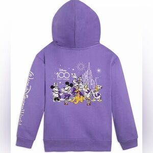 Disney Parks 100th Anniversary Mickey & Friends Embroidered Pullover Hoodie